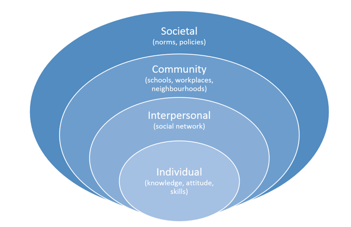 Socio-ecological model